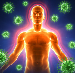 Immune System Supports