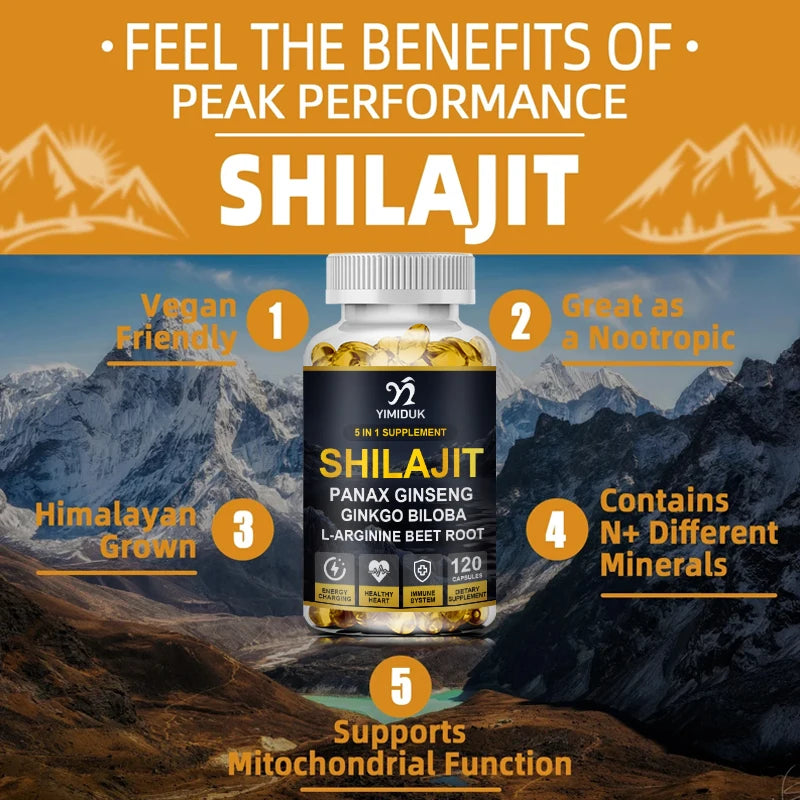 Shilajit 3500mg with L-Arginine & Beet Root, Supports Energy Production, Circulatory Health, Immune Function & Daily Performance