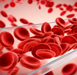 Improves Circulation & Blood Flow